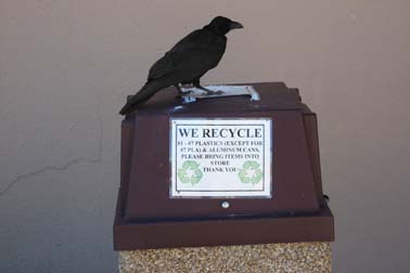we recycle ... me too